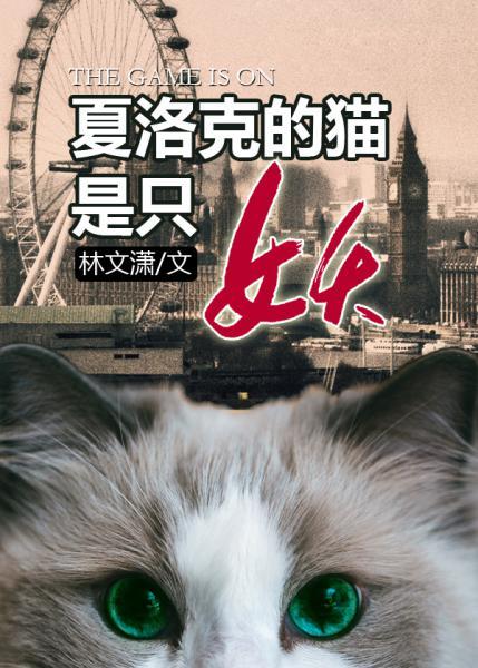 sherlock cat